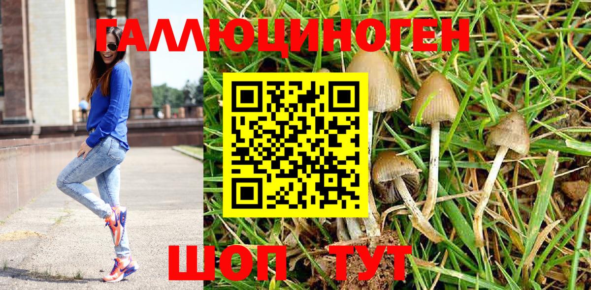 Псилоцибиновые грибы Magic Shrooms Кыштым