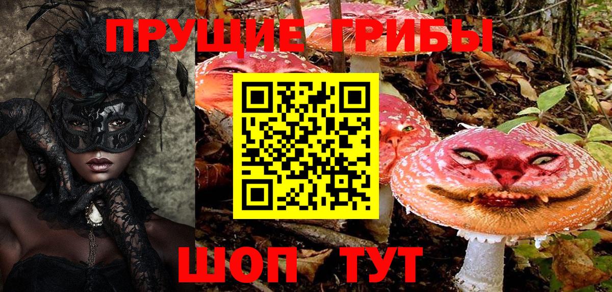 Псилоцибиновые грибы мицелий  Вход с VPN  Кыштым 